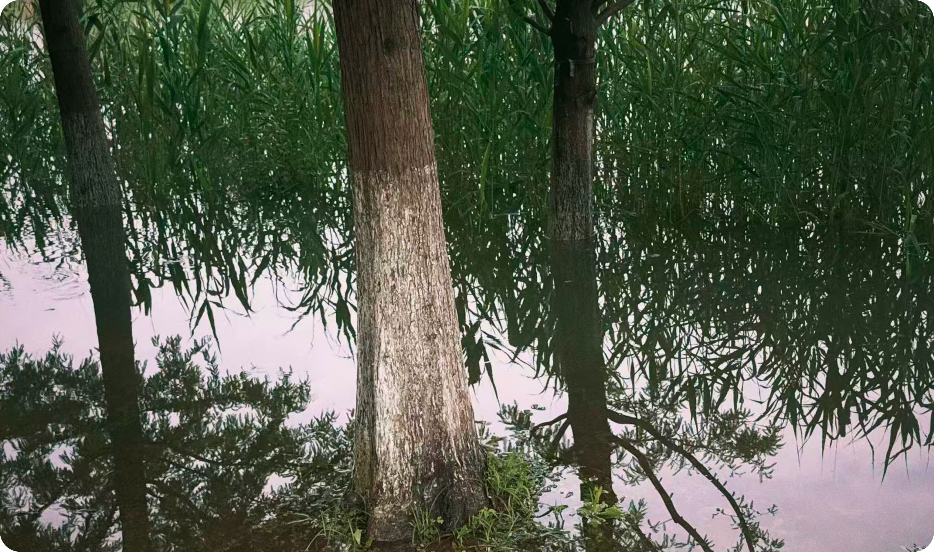 Scenery 3